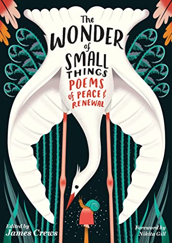NetGalley Book Review: The Wonder of Small Things by James Crews