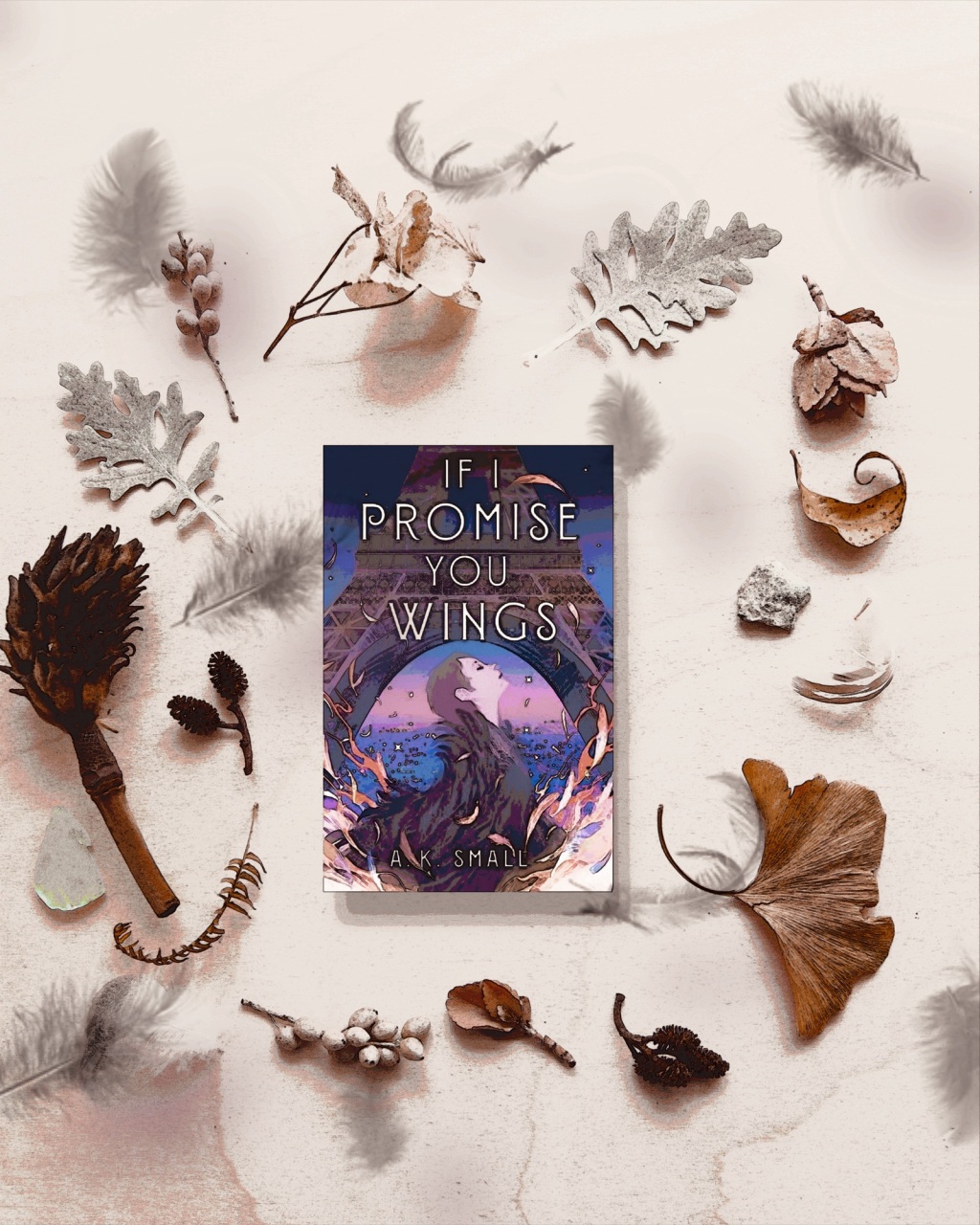 Book Review: If I Promise you Wings by A. K. Small